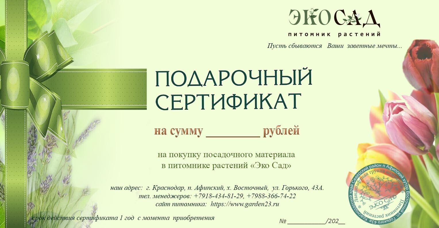 Сертификат на покупку растений