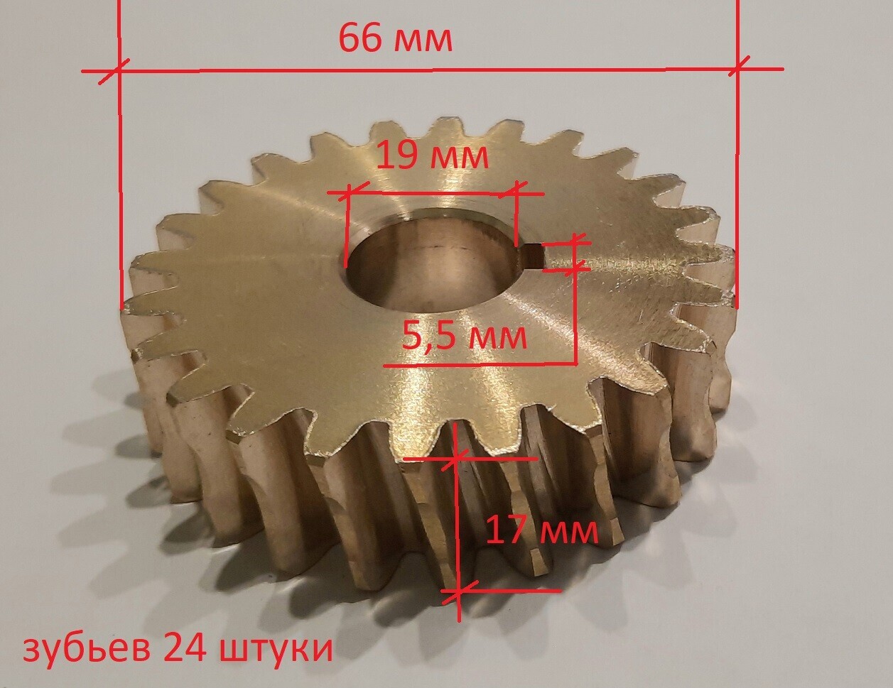 Шестерня редуктора снегоуборщика 24 зуб,19 мм, 65 мм от компании  ГАЗОНОКОСИЛЬЩИК купить в городе Ярославль
