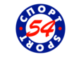 Спорт54, Оптовый интернет-магазин